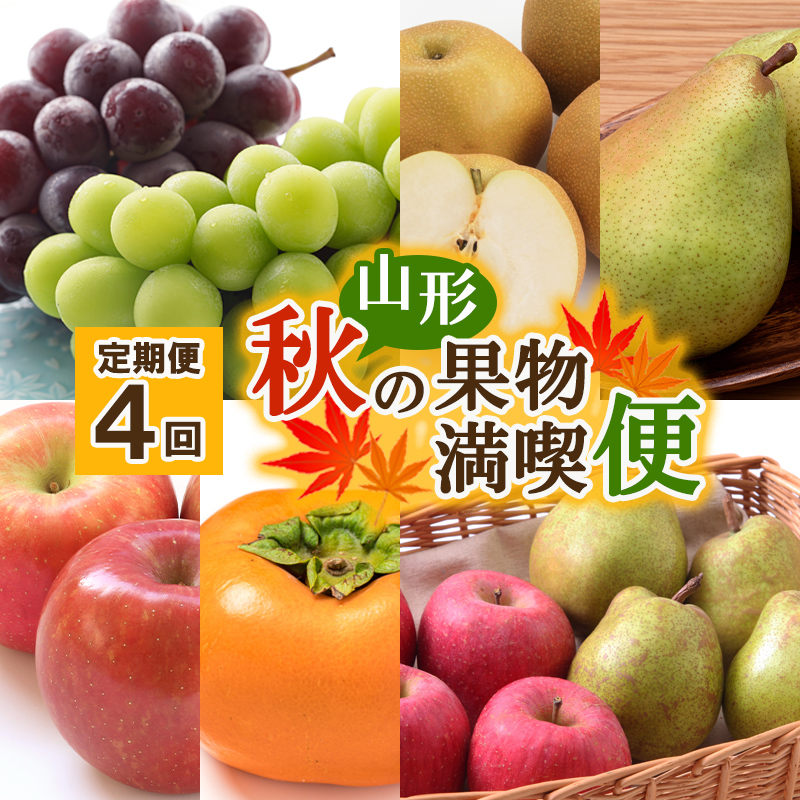 【定期便4回】山形秋の果物 満喫便【令和6年産先行予約】FS