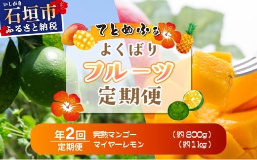 
            《6月以降発送》最高糖度20度！？完熟マンゴーと青切りマイヤーレモンの定期便！！年2回に分けてお送りします
          