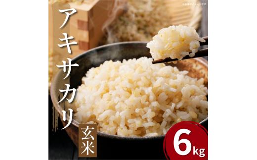 【先行予約】令和7年産 米 玄米 6kg （ 2kg × 3袋 ）アキサカリ 令和7年度産 新米 1袋2kg 小分け お米 こめ 精米 健康 ごはん ご飯 白飯 ゴハン コメ 吉野川 徳島県 吉野川市