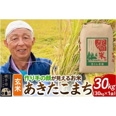 ふるさと納税 横手市 「作り手の顔が見えるお米」秋田県産あきたこまち玄米30kg(令和8年産)