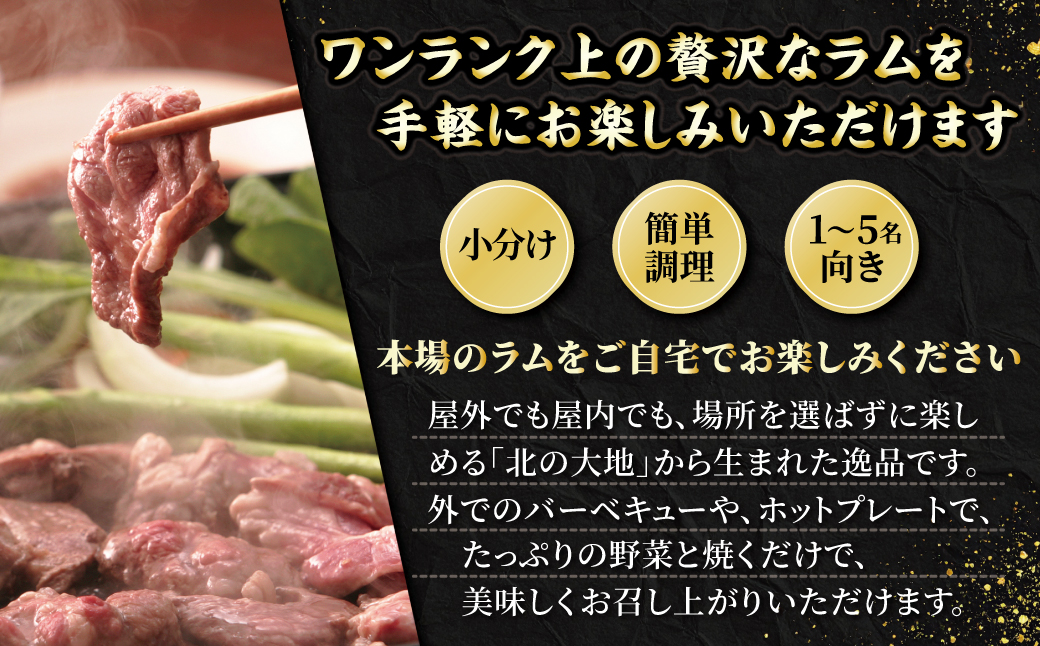 【お試し用】北海道民おすすめ定番の特別な日へ『肩ロース』350g×1　計350g 35mlタレ2袋付き BRTI031