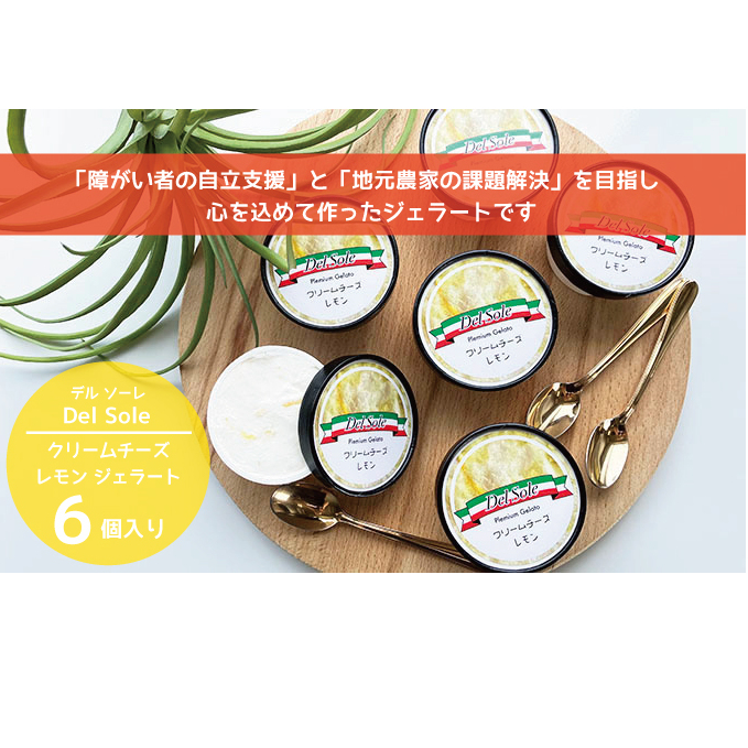 デルソーレ　ジェラート★クリームチーズレモン★6個　農福 お菓子 スイーツ ひんやりスイーツ デザート 食後 おやつ アイス 地元食材使用 レモンジェラート フルーツジェラート 