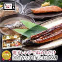 【ふるさと納税】煮魚 焼魚 4種8切+うなぎ蒲焼1尾 セット / たからや商店 越前宝や 鮭 かれい ぶり さば ウナギ 鰻 蒲焼 蒲焼き 小分け レンチン 惣菜 お惣菜 時短 ラク家事 真空パック 送料無料 [A-088009]