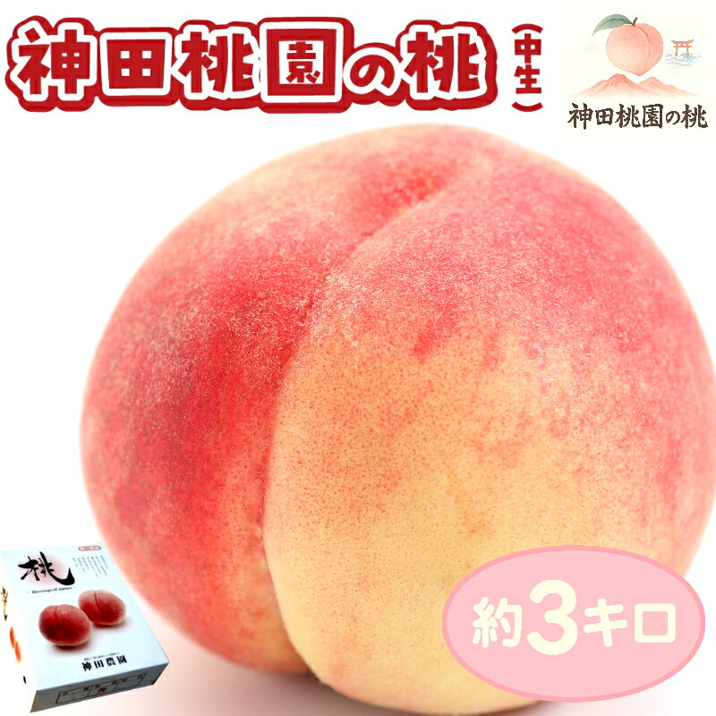 【ふるさと納税】数量限定！先行予約販売開始★ 神田農園の大人気産地直送 桃「あかつき」中生 約3kg（9～10玉） [ フルーツ 名産品 桃 もも モモ 白桃 果物 くだもの お取り寄せグルメ 三豊市 20000 20,000円 返礼品 神田桃園 ] ※配送不可地域：北海道・沖縄県・離島