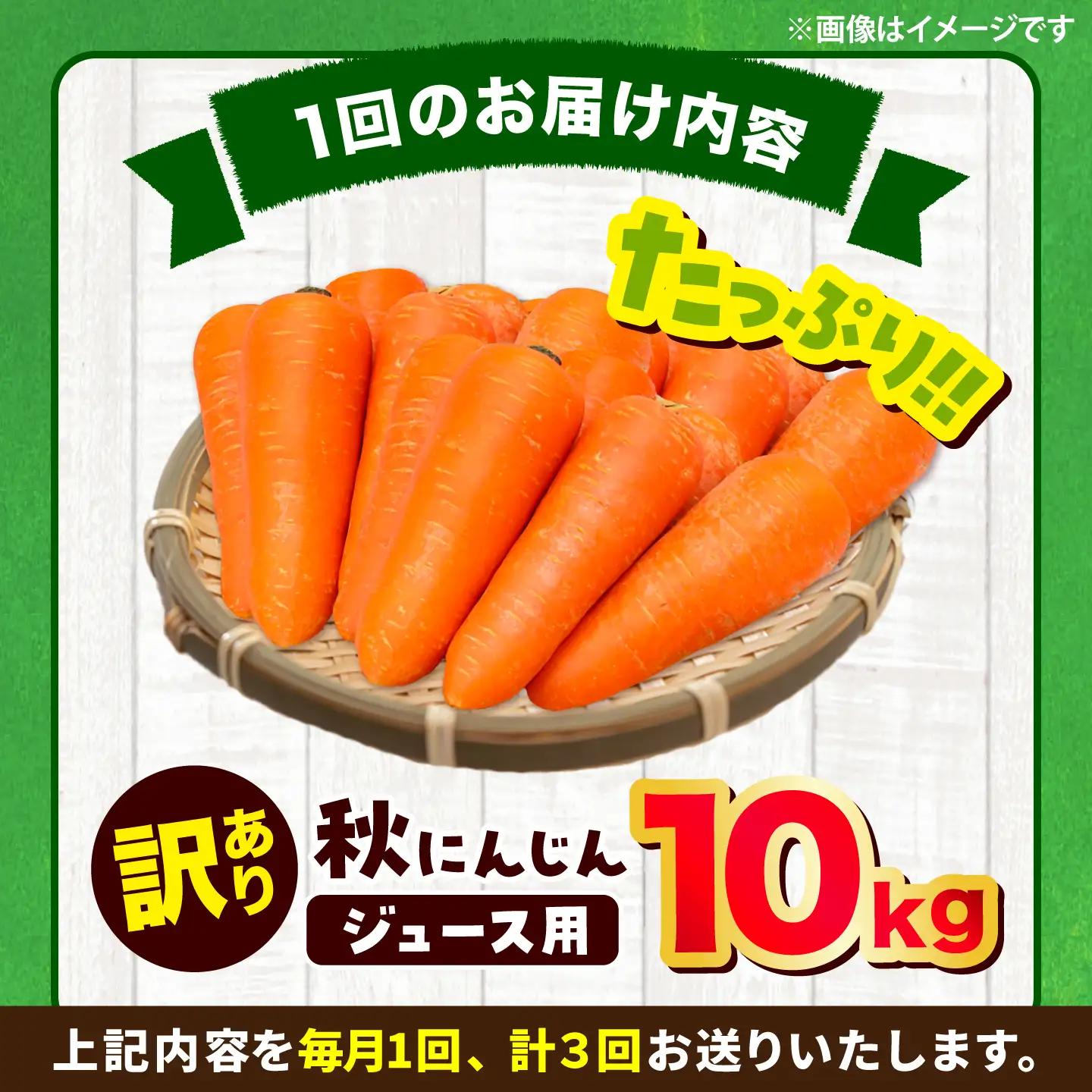 【先行予約】【2026年12月順次発送開始】【全3回定期便】ジュース用秋にんじん10kg(訳あり) / にんじん ニンジン 規格外 ジュース β-カロテン 食物繊維 抗酸化作用 熊本県産 菊陽町 【株