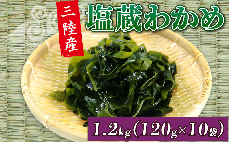 
三陸わかめ 塩蔵わかめ 120g×10袋 1.2Kg 冷蔵 道の駅さんりく
