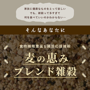 雑穀米本舗 国産 麦の恵み24穀米ブレンド 4kg(800g×5袋)