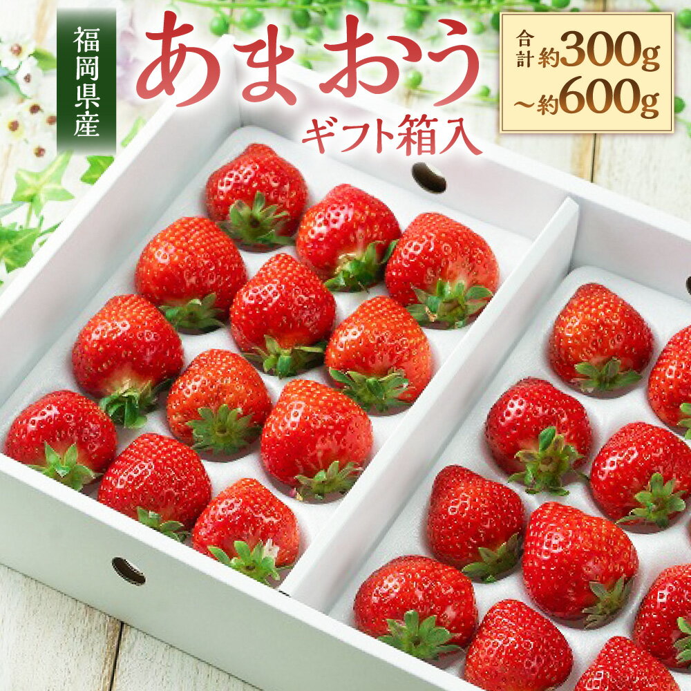 【ふるさと納税】福岡県産 あまおう ギフト箱 約300g （12-15粒） もしくは 約600g （24-30粒） いちご イチゴ 苺 ベリー 果物 くだもの フルーツ 冷蔵 国産 九州 福岡県 岡垣町 送料無料【2025年12月上旬～2026年3月下旬発送予定】