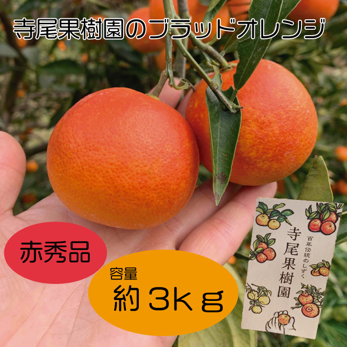 
                  ブラッドオレンジ(タロッコ)　赤秀品　3kg(土居町天満産)
                