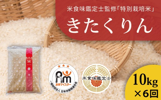 【北海道　農家直送！米食味鑑定士 三ツ星お米マイスター 栽培 監修　定期便】舟山農産　令和7年産特別栽培米きたくりん 10kg×6回コース