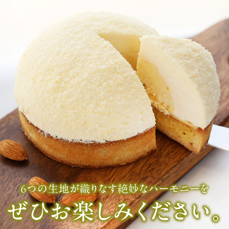 レアとベイクの白いダブルチーズタルト