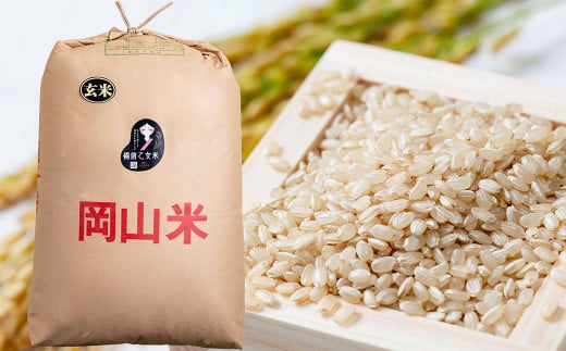 備前乙女米 玄米 30kg×1袋【2026年9月下旬迄発送予定】／ お米 米 おこめ こめ コメ ご飯 ライス モチモチ 石原果樹園 岡山県 美咲町