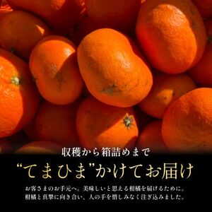 【数量限定】今シーズン発送!【訳あり】甘平 3kg【C70-165】【1710494】