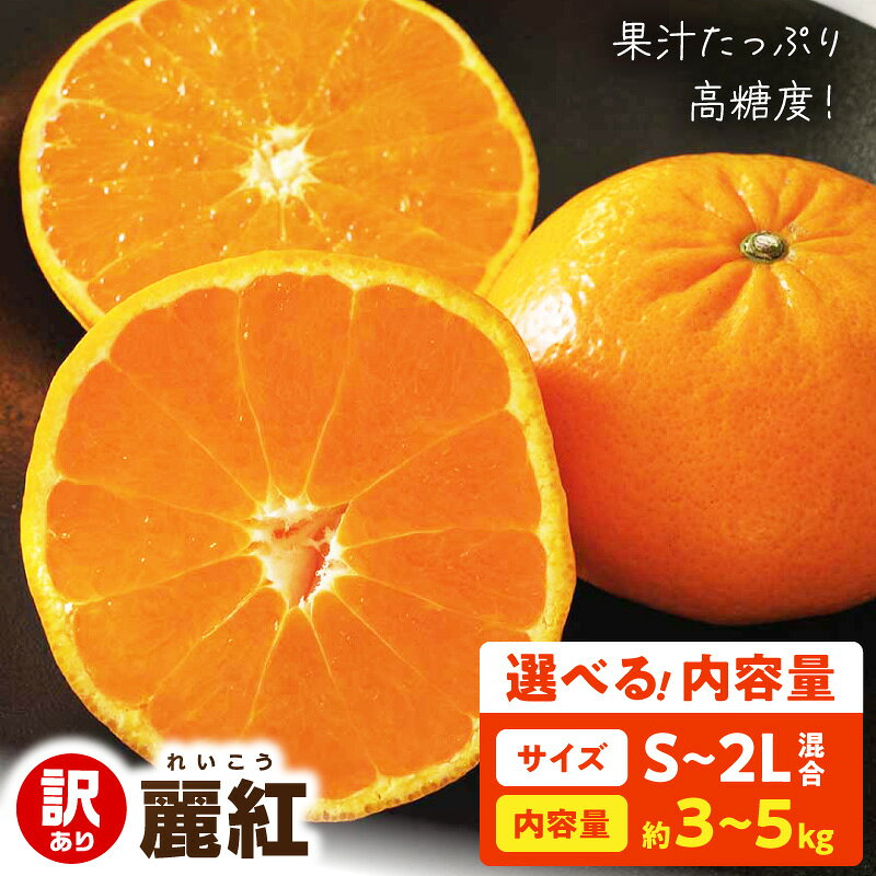 【ふるさと納税】【2027年先行予約】 訳あり 麗紅 選べる内容量 約3kg 約5kg S～2Lサイズ混合 家庭用 柑橘 せとか 姉妹品種 果汁あふれる 高糖度 香り 爽やか 甘み 絶妙 バランス 産地直送 果物 スイーツ デザート お取り寄せ 和歌山県 湯浅町 送料無料