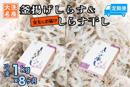 釜揚げしらす しらす干し 交互 定期便 (1kg×8か月) しらす  _AG065