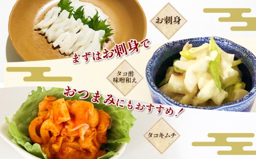 【訳あり】北海道羽幌産 刺身用たこ頭 1～2個入（700g～800g）【冷凍】