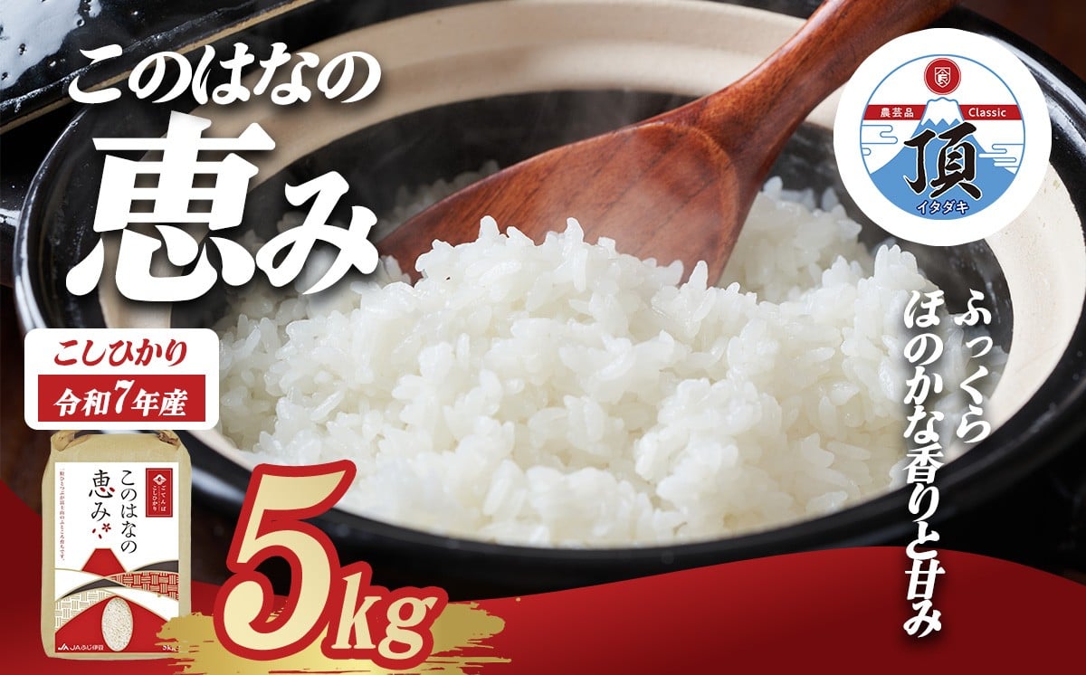 
                  令和7年度産 こしひかり「このはなの恵み」 5kg | 米 R7 こしひかり 精米 白米 お米 ブランド米 5kg こめ コメ エコ栽培米 静岡県 小山町
                