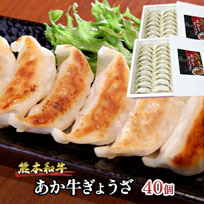 【ふるさと納税】ぎょうざ 熊本 あか牛 餃子 セット 計40個（20個入り×2箱）和牛 肉 お肉 牛肉 加工品 ギョウザ 赤牛 配送不可：離島 熊本県産野菜使用 濃厚な肉汁 おかず つまみ ビールのお供 中華