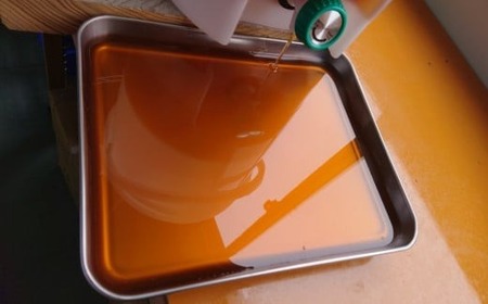 【感謝を込めて価格改定】 2年間熟成！ 希少な日本ミツバチ完熟蜂蜜 600g×2個 セット 【 数量限定 はちみつ ハチミツ 岩手県 陸前高田市 】