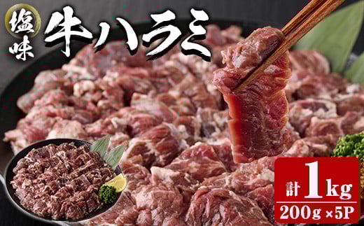  塩味 牛ハラミ (計1kg) 小分け 牛肉 肉 ハラミ 牛はらみ 味付け 焼肉 塩 BBQ 冷凍 大分県 佐伯市【DH299】【(株)ネクサ】