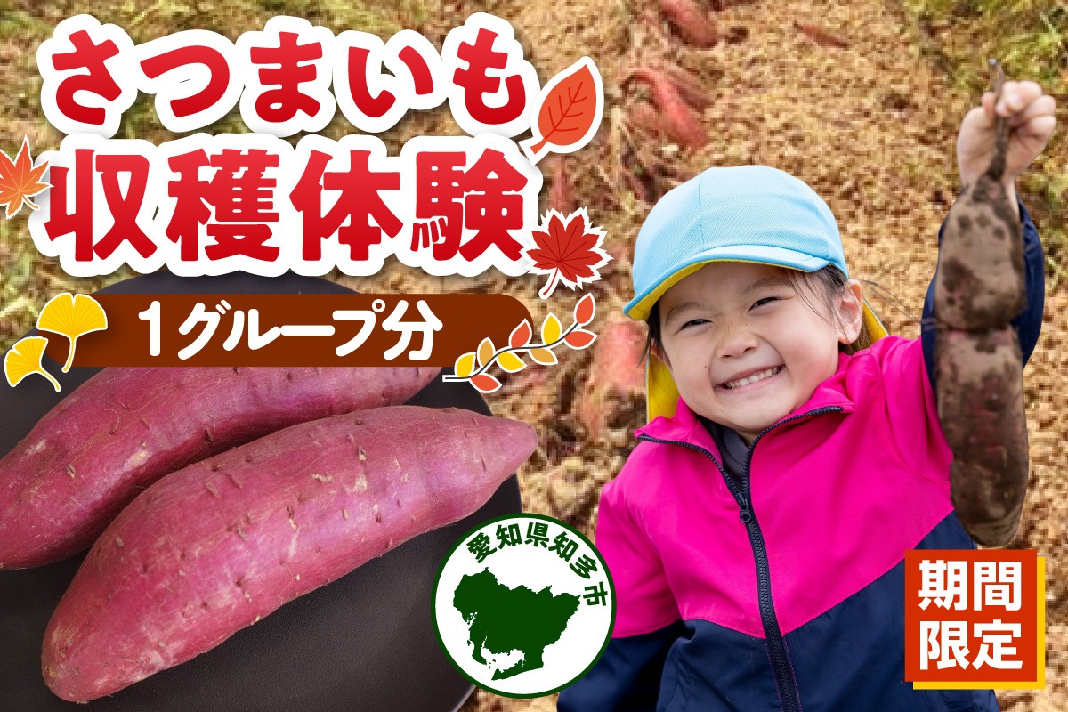 
                  【期間限定】さつまいも収穫体験（1グループ分）｜さつまいも狩り さつまいも堀り 収穫 さつまいも 紅はるか シルクスイート 栗かぐや 収穫体験 採れたて 焼き芋 石焼き芋 鈴木農園 愛知県 知多市
                