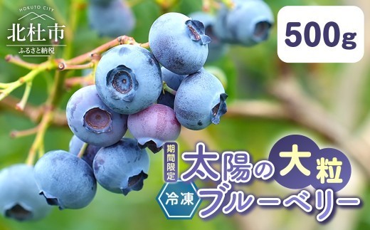 
                  【大粒】山梨県産（明野産）冷凍 ブルーベリー500g　無農薬 新鮮 フルーツ くだもの 生果実 ベリー 北杜市産 期間限定 数量限定
                