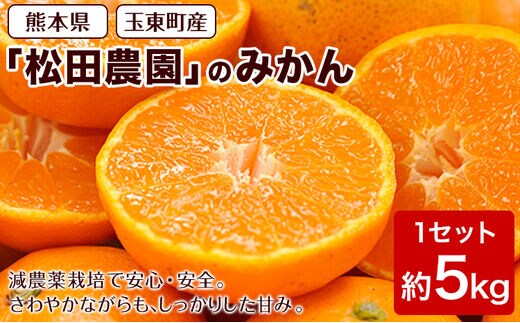 
										
										ジューシーで甘い♪『松田農園』のみかんたっぷり約5kg (S-2Lサイズ) 予約受付中 フルーツ 秋 旬 熊本県 玉名郡玉東町『松田農園』手間暇かけたこだわりのミカン《11月上旬-12月下旬頃より順次出荷》---sg_mtdmikan_ak11_24_12500_5kg---
									