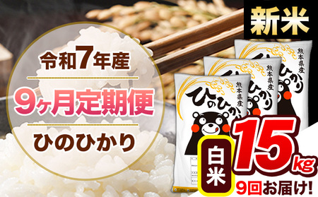 【9ヶ月定期便】新米 令和7年産 白米 定期便 ひのひかり 15kg 《お申込み翌月から出荷》熊本県産 ふるさと納税 白米 精米 ひの 米 こめ ふるさとのうぜい ヒノヒカリ コメ 熊本米 ひのもり