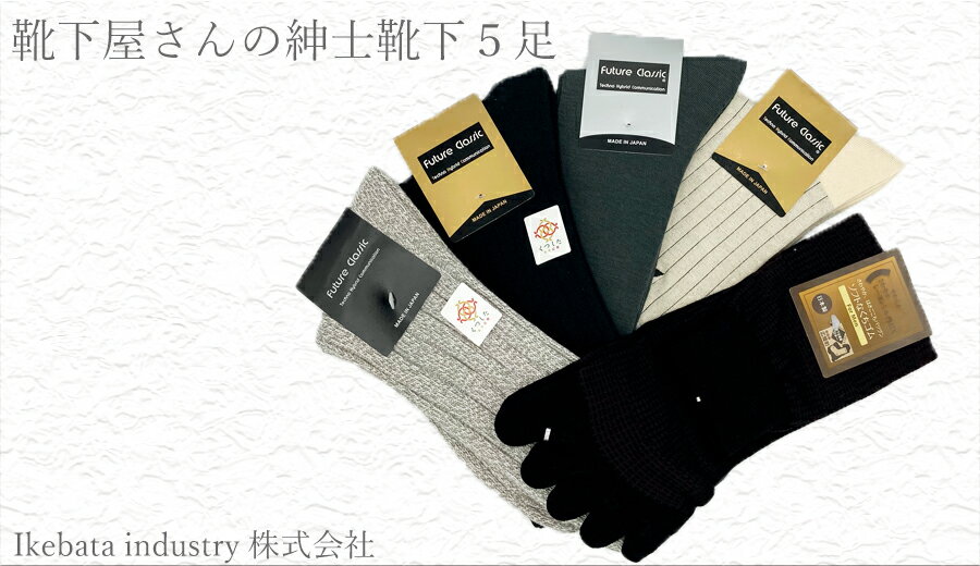 【ふるさと納税】Future Classic 紳士 ソックス 俺に任せろ 5足セット 広陵町 靴下///靴下 くつした くつ下 ソックス 足元 紳士 婦人 通年 おしゃれ かわいい 人気 日本製 奈良県 広陵町