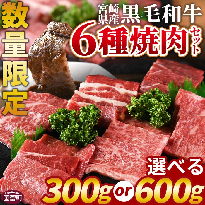 【ふるさと納税】【レビューキャンペーン】数量限定 ＜宮崎県産黒毛和牛(経産)6種焼肉セット＞※入金確認後、1ヶ月程度で出荷 国産 黒毛和牛 牛肉 牛 精肉 焼き肉 焼肉 サーロイン リブロース 肩ロース ウデ モモ バラ 贈答品 ミヤチク 宮崎県 国富町【冷凍】