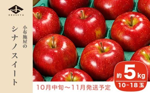 
シナノスイート 約５kg 10～18玉 小布施屋
