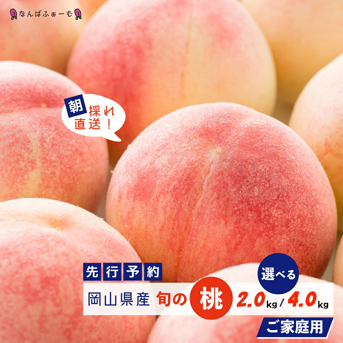 【ふるさと納税】＜選べる容量＞【2025年先行予約】［なんばふぁーむ］岡山県産 旬の桃［ご家庭用］2.0kg（6～9玉）or 4.0kg（11～14玉）