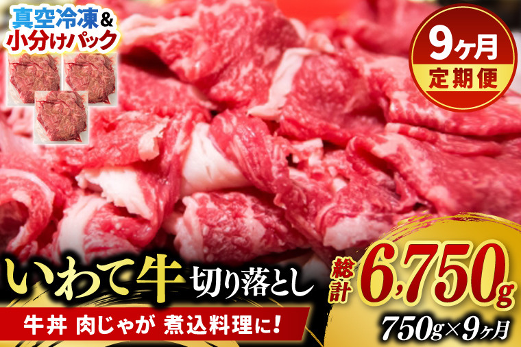 
            ＼9ヶ月連続 定期便／【9月より順次配送】切り落とし 肉 牛肉 小分け 真空冷凍 いわて牛 750g (総計 6750g) 岩手県産 和牛 牛肉 黒毛 和牛 切り落とし肉 大容量 肉 すき焼き 肉じゃが 煮込み 煮物 赤身 国産牛 小分け 冷凍 数量限定 (AB106)
          