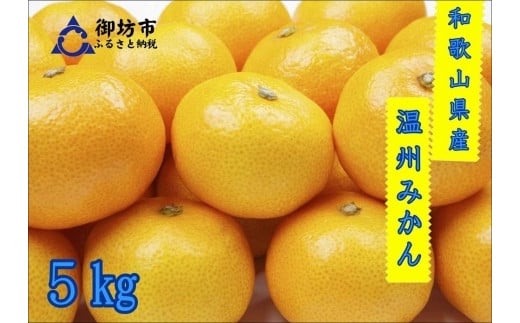 
            御坊市・日高川町・由良町産　温州みかん(ゆらっ子)5kg
          