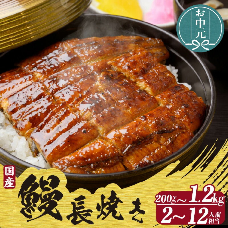 【ふるさと納税】＼お中元対応可／国産 うなぎ 長焼き 【選べる尾数 1尾 約200g 】備長炭で焼きました 日本産うなぎ 真空パック 鰻 ふっくら ぱりぱり 和食 高級食材 グルメ お取り寄せ 特大サイズ 美味しい 日本食 土用丑の日 送料無料
