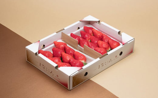 とちおとめ【2パック×280g】まなこころ・楓 いちご