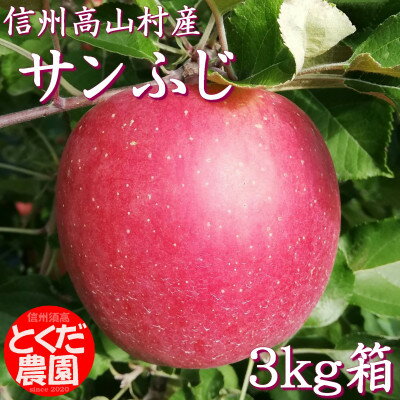 【ふるさと納税】高山村産りんご(サンふじ)3kg箱【1588232】