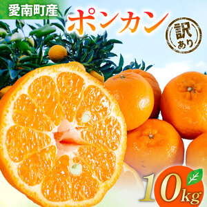 【先行受付】訳あり ポンカン 10kg【発送時期 1月中旬~2月中旬】 ぽんかん みかん 蜜柑 柑橘 冬 清家ばんかんビレッジ 愛媛 愛南