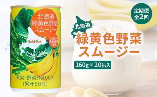 『定期便：全2回』北海道緑黄色野菜スムージー 野菜スムージー スムージー 野菜 北海道野菜 緑黄色野菜 健康 美容 健康志向 20缶 20本 ふるさと納税 北海道 恵庭市 恵庭【06001701】