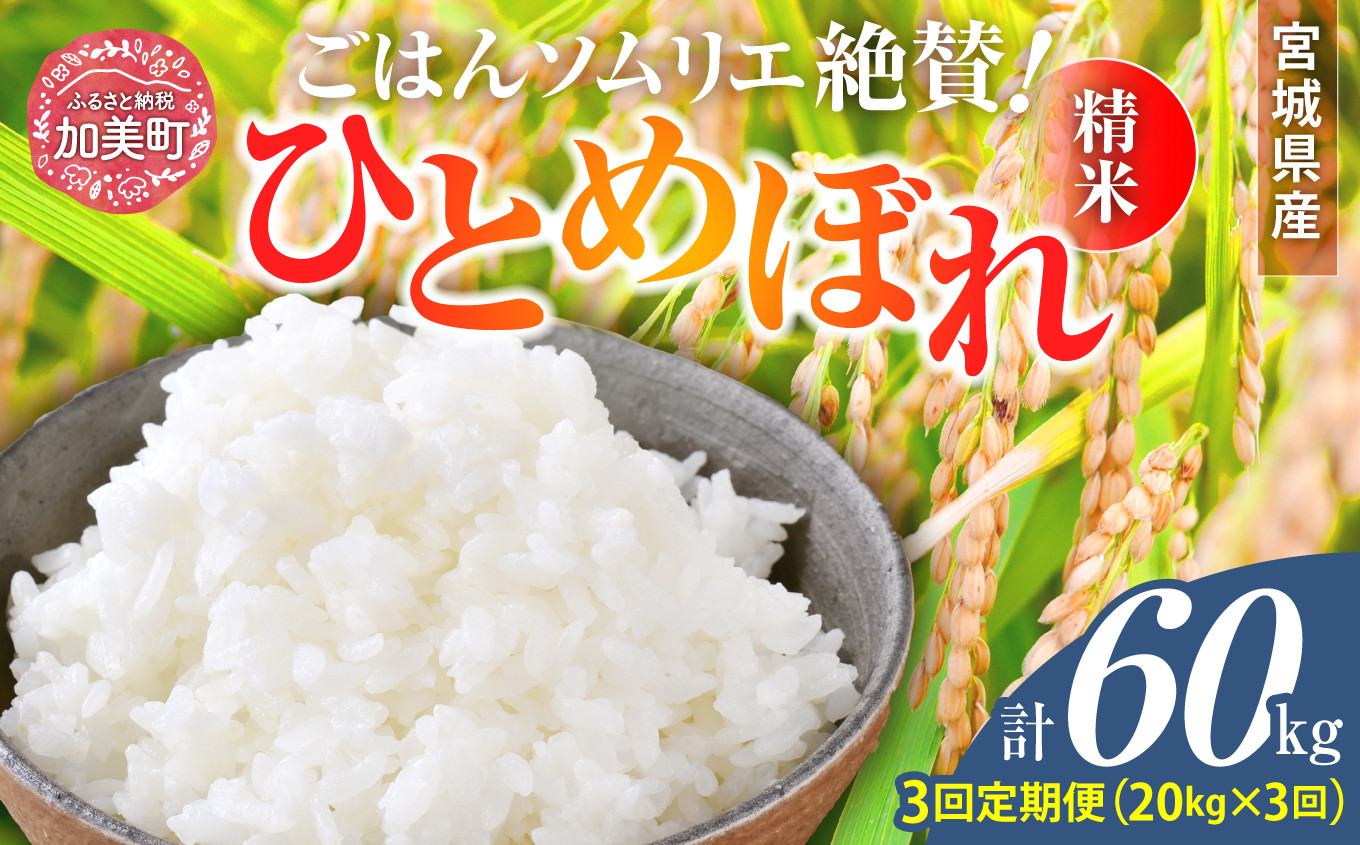 
            【3回定期便】 精米 令和6年産 宮城県産ひとめぼれ 計60kg (10kg×2袋)×3回 [菅原商店 宮城県 加美町 ]  | sg00001-r601-20kg-3
          