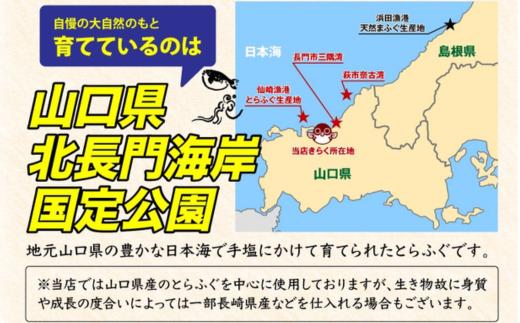 山口県の豊かな日本海で手塩にかけて育てられたとらふぐです。