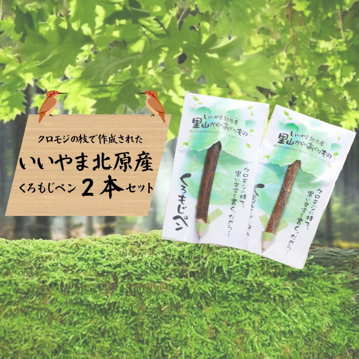 【ふるさと納税】【いいやま北原産】くろもじペン 2本セット（Bp-001）【 長野県 飯山市 くろもじの木 ボールペン 文房具 手作り ハンドメイド 工芸品 民芸品 木 木工品 】