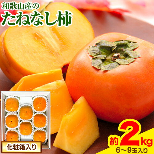 【ふるさと納税】【秋の味覚】＜先行予約＞ 和歌山産の たねなし 柿 2L～4Lサイズ 約 2kg （化粧箱入り） 厳選館 《9月上旬-11月下旬頃出荷》 和歌山県 日高川町 柿 カキ かき ジューシー フルーツ たねなし