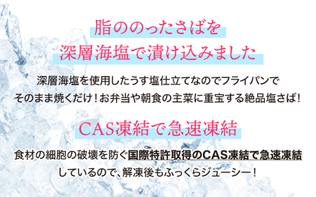 【訳あり】塩さば切身 深層海塩仕込み 1.3kg  | ym00013-1300 さば さば さば さば 塩竈市 ヤママサ塩 塩竈市 ヤママサ