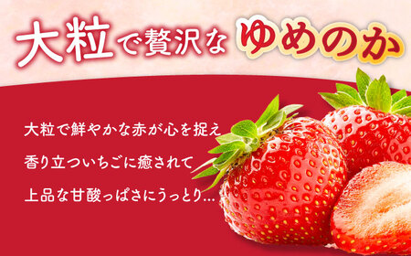 【2027年1月-発送】 いちごゆめのか 250g × 4パック [SAC008] いちご