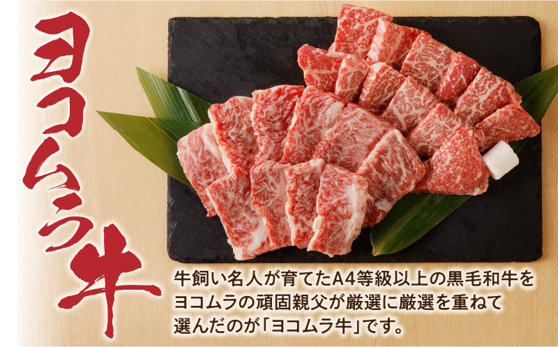 【7営業日以内に発送】【鹿児島黒毛和牛A4〜A5】焼肉上セット（上カルビ/上ロース）　K189-008