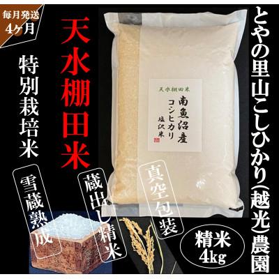 ふるさと納税 南魚沼市 【毎月定期便】とやの里山継承プロジェクト対象【天水棚田米】雲海望む山間地産こしひかり精米4kg全4回