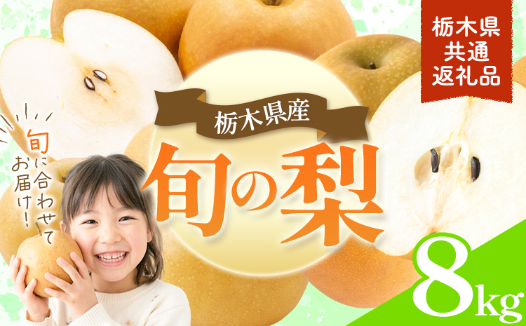 先行予約 旬の梨 約8kg 幸水 豊水 あきづき 新高 にっこり《8月上旬-10月中旬頃出荷予定》 栃木県 野木町 なし ナシ くだもの 果物 青果物 フルーツ
