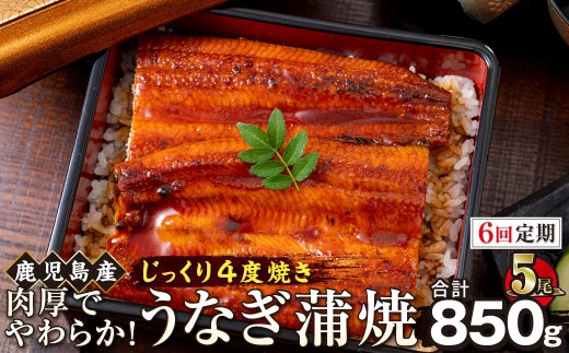 【6回定期】うなぎ 蒲焼 170g×5尾【鹿児島産】地下水で育てた絶品鰻
