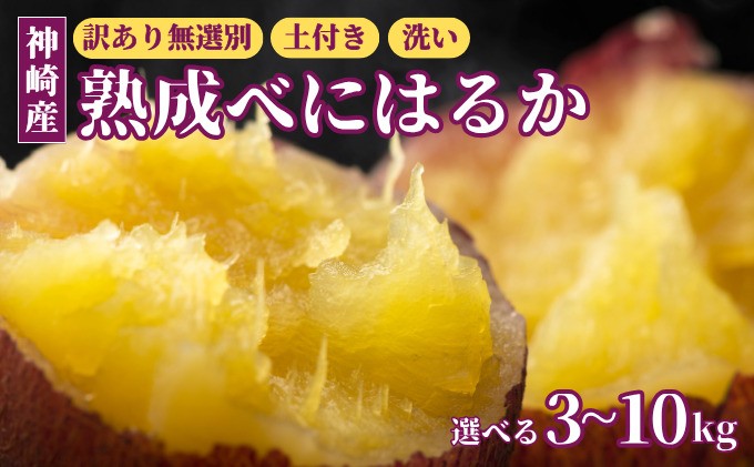 
                  ＼焼き芋ファン必見！／ 【選べる】神崎町産 べにはるか さつまいも 3〜10kg【訳あり 無選別 / 土付き / 洗い】｜甘くてねっとり、ご家庭向けにたっぷりサイズ♪ (3月～12月受付分は翌年1月中旬～3月中旬発送) さつま芋 焼き芋 焼きいも イモ 芋 紅はるか 訳アリ 蜜芋 スイートポテト 大学芋 おやつ 甘い 高糖度 [016-a005-2026/016-a010-2026]
                